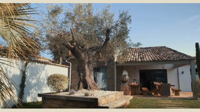 Maison la couarde architecte île de ré